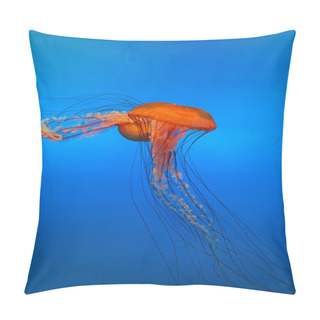 Personality  Spectacular Jellyfish Pillow Covers