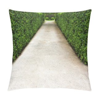 Personality  The Path In The Garden. Pillow Covers