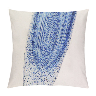 Personality  Cells Mitosis Micrograph Pillow Covers