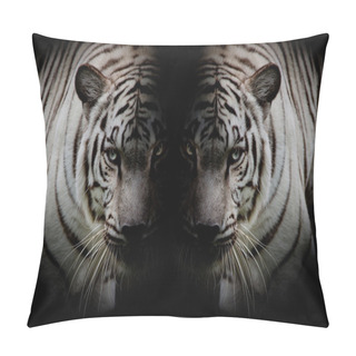 Personality  Black & White Twin Beautiful Tigers Face To Face Isolated On Bla Pillow Covers