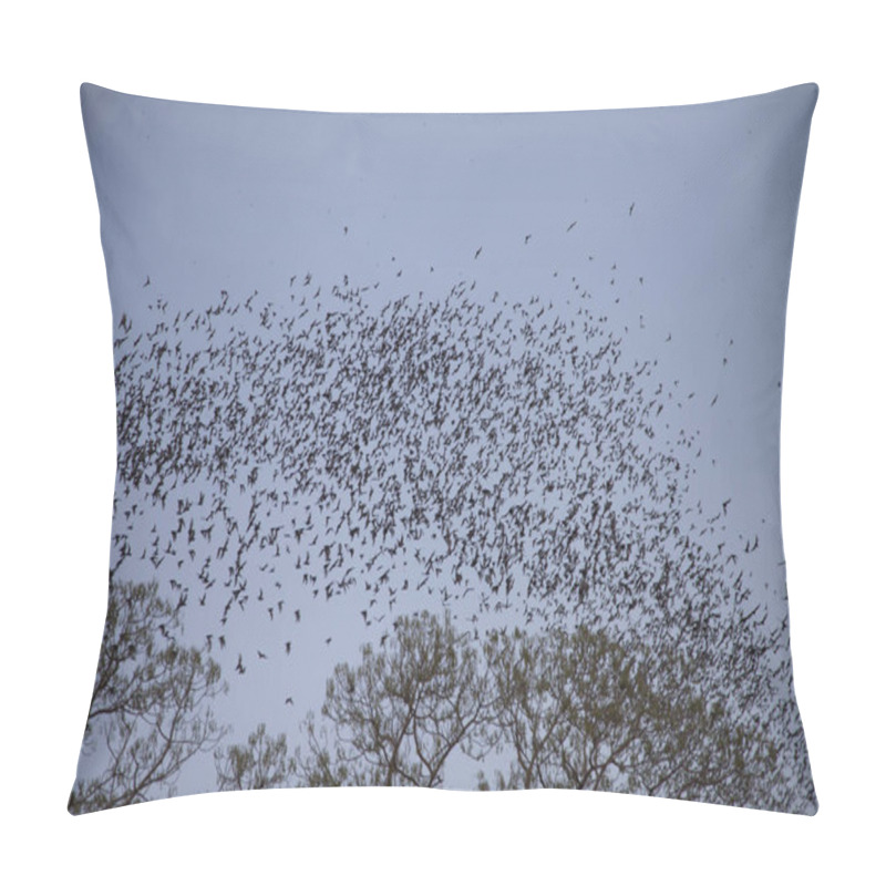Personality  Mass flight of bats pillow covers