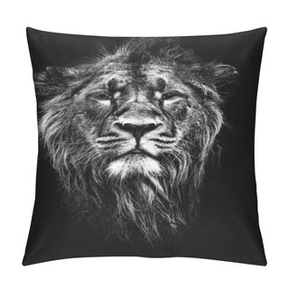 Personality  Male Asiatic Lion Pillow Covers