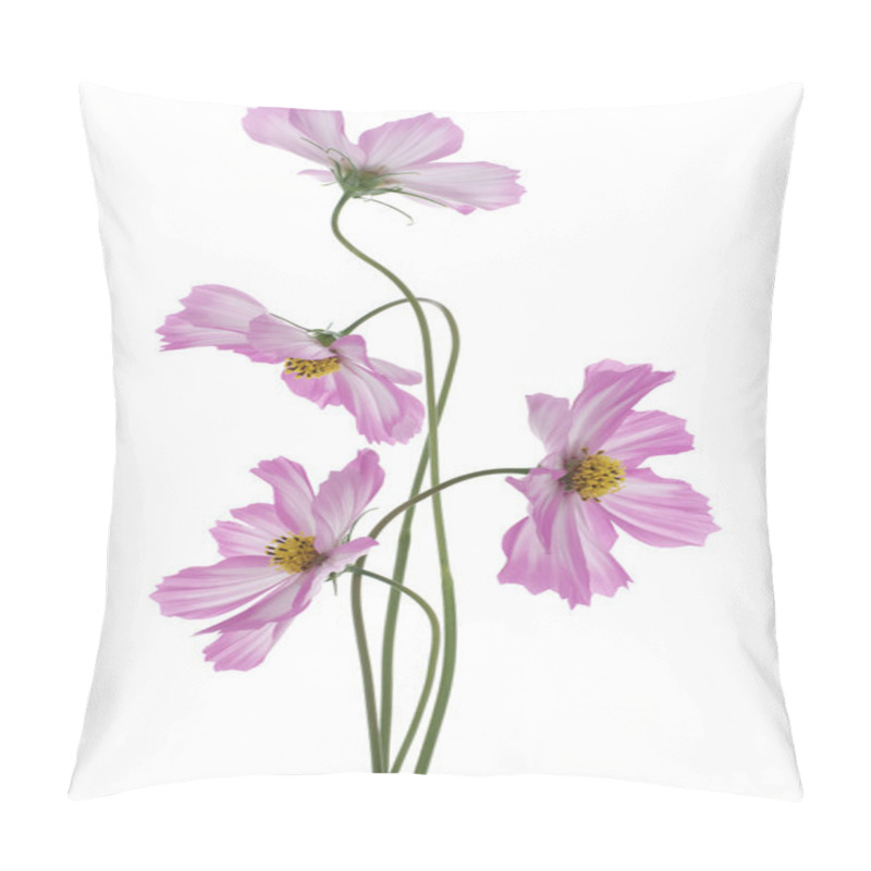 Personality  Cosmos pillow covers