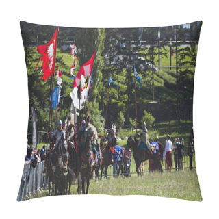 Personality  Winged Hussars - Battle Inscenisation On Military Picnic Pillow Covers