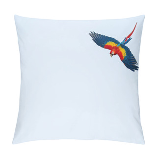 Personality  Isolated Flying Tropical Parrot With Copy Space. Scarlet Macaw On The Sky Pillow Covers