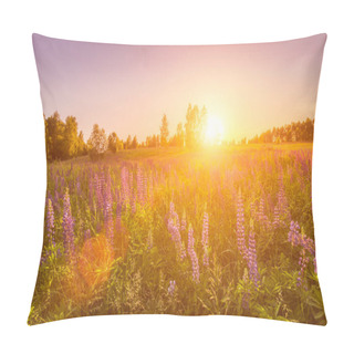 Personality  Sunset Or Dawn On A Field With Purple Lupins, Wild Carnations And Young Birches In Clear Summer Weather And A Clear Cloudless Sky. Landscape. Pillow Covers