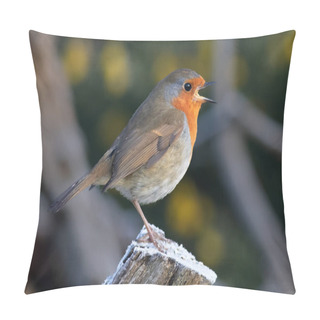 Personality  A Profile Portrait Of A Robin. It Id Perched On A Snow Covered Tree Stump Singing. Its Beak Is Wide Open Pillow Covers
