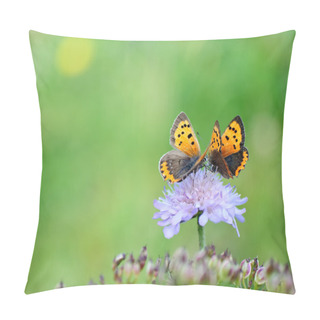 Personality  Butterflies On Flower Pillow Covers