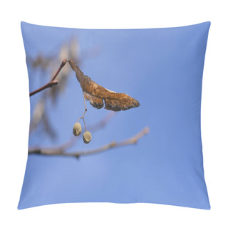 Personality  Small-leaved Lime Branches With Seeds - Latin Name - Tilia Cordata Pillow Covers