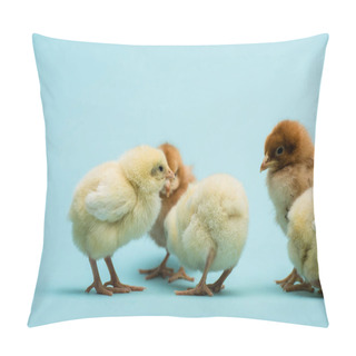 Personality  Cute Small Fluffy Chicks On Blue Background Pillow Covers