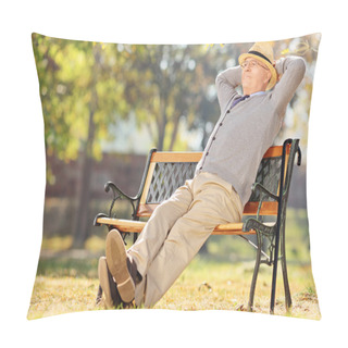 Personality  Pensioner On Bench In Park Pillow Covers