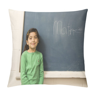 Personality  Student At Chalboard Pillow Covers