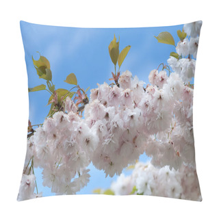 Personality  Cherry Tree Blossom Pillow Covers