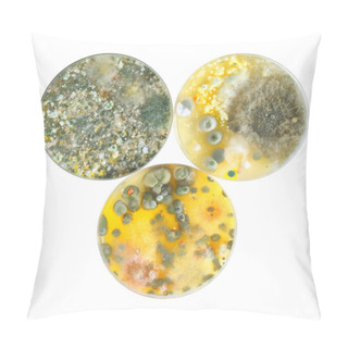 Personality  Petri Dishes With Mold Pillow Covers