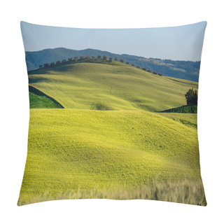 Personality  Beautifully Illuminated Landscape Of Tuscany . Green Hills Pillow Covers