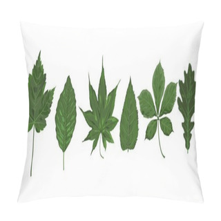 Personality  Vector Watercolor Style Seasonal Green Maple Adler Chestnut Mulb Pillow Covers
