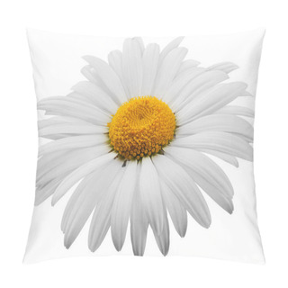 Personality  Flower Pillow Covers