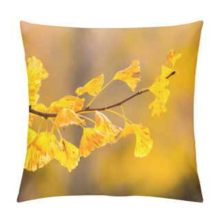 Personality  Autumn Ginkgo Trees Pillow Covers