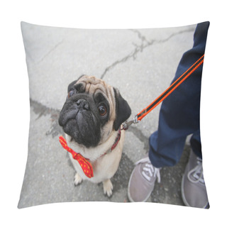 Personality  Funny Pug Pillow Covers