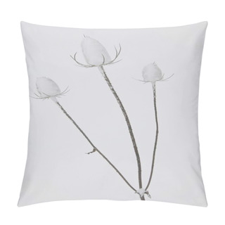 Personality  Snow Covered Thistles Pillow Covers