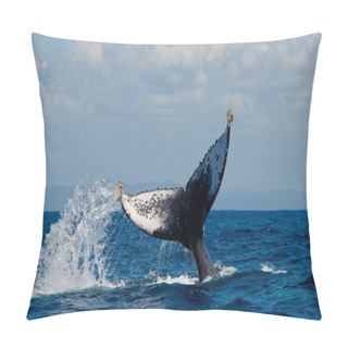 Personality  Humpback Whale Tail. Pillow Covers