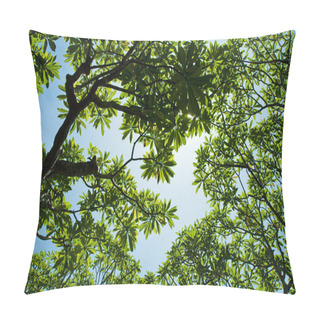 Personality  Tree Branches Pillow Covers