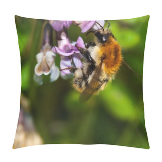 Personality  Bombus Pascuorum Pillow Covers