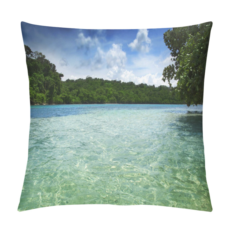 Personality  Tropical ocean pillow covers