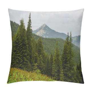 Personality  Summer Landscape In The Carpathian Mountains Pillow Covers