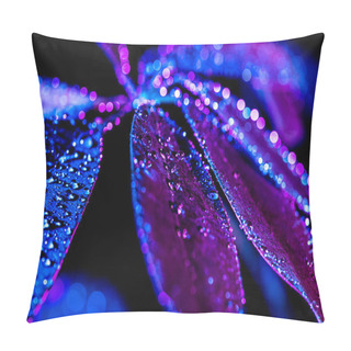 Personality  Selective Focus Of Water Drops On Schefflera Leaf, Blue Color Filter Pillow Covers