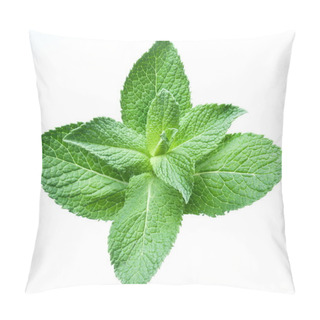 Personality  Leaves Of Mint Pillow Covers