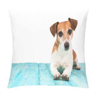 Personality  Cute Smart Dog On Blue Floor Pillow Covers