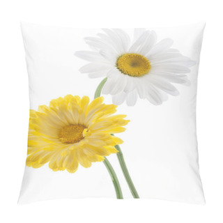Personality  Daisy Flowers Pillow Covers