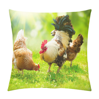 Personality  Rooster And Chickens. Free Range Cock And Hens Pillow Covers