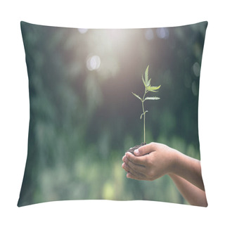 Personality  Child Hands Holding And Caring A Young Green Plant, Hand Protects Seedlings That Are Growing, Planting Tree, Reduce Global Warming,  Growing A Tree, Love Nature, World Environment Day Pillow Covers