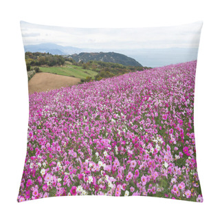 Personality  Cosmos Flowers Field Pillow Covers