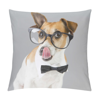 Personality  Cool Pet With Glasses Pillow Covers