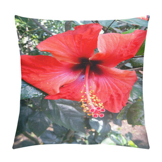 Personality  Hibiscus Flower Pillow Covers