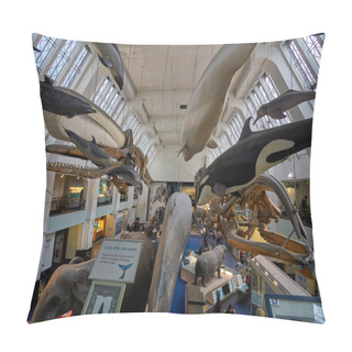Personality  Interior View Of The Natural History Museum. Established In 188, The Museum Houses 80 Million Items And Species From Around The World. London, England, United Kingdom. Pillow Covers