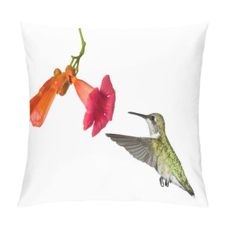 Personality  Hummingbird And The Flower Of A Trumpet Vine Pillow Covers