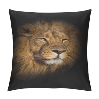 Personality  Powerful Lion Male With Chic Mane Portrait Close-up. Pillow Covers