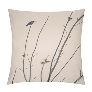 Personality  A Country Bird Perches On A Leafless Branch As The Sun Gently Wakes A Misty Morning Pillow Covers