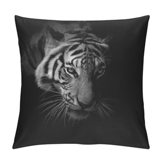 Personality  Black & White Close Up Face Tiger Isolated On Black Background Pillow Covers