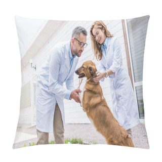 Personality  Happy Veterinarians Playing With Dog On Yard At Veterinary Clinic Pillow Covers