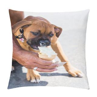 Personality  Poppy Dog With Ice Cream Pillow Covers