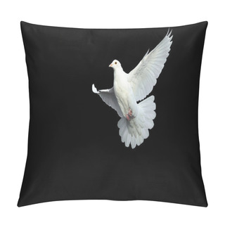Personality  White Dove In Free Flight Pillow Covers