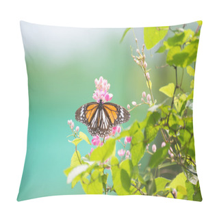 Personality  Black Veined Tiger Butterfly On Pink Coral Vine Flowers Pillow Covers