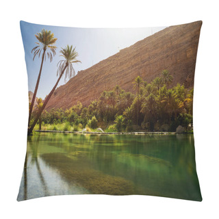 Personality  Amazing Lake And Oasis With Palm Trees (Wadi Bani Khalid) In The Omani Desert Pillow Covers