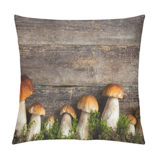 Personality  Food Background With Boletus Mushrooms And Moss Pillow Covers