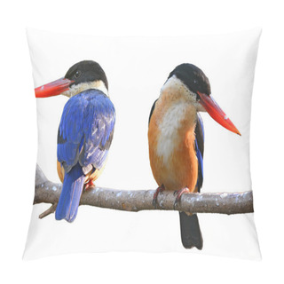 Personality  Kingfisher Bird Pillow Covers